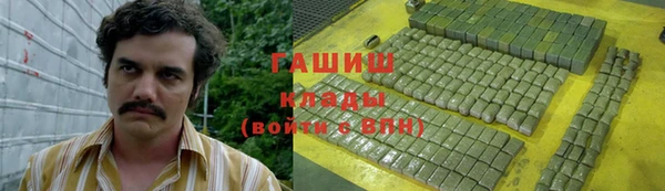 ПСИЛОЦИБИНОВЫЕ ГРИБЫ Гусь-Хрустальный