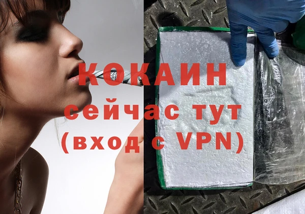 a pvp Гусев