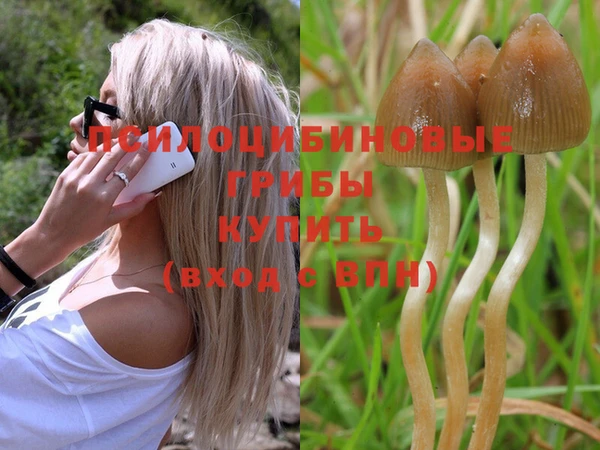 ПСИЛОЦИБИНОВЫЕ ГРИБЫ Гусь-Хрустальный