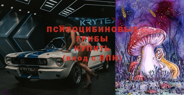 a pvp Гусев