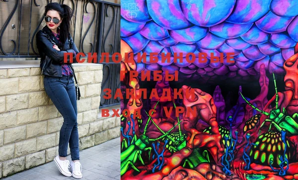 ПСИЛОЦИБИНОВЫЕ ГРИБЫ Гусь-Хрустальный
