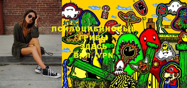 ПСИЛОЦИБИНОВЫЕ ГРИБЫ Гусь-Хрустальный