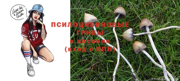 a pvp Гусев