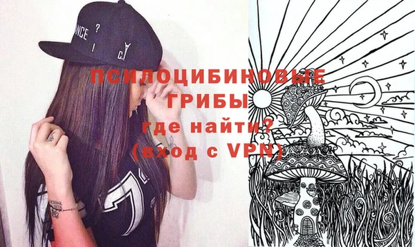 2c-b Гусиноозёрск