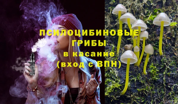 a pvp Гусев