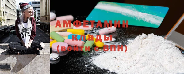 ПСИЛОЦИБИНОВЫЕ ГРИБЫ Гусь-Хрустальный