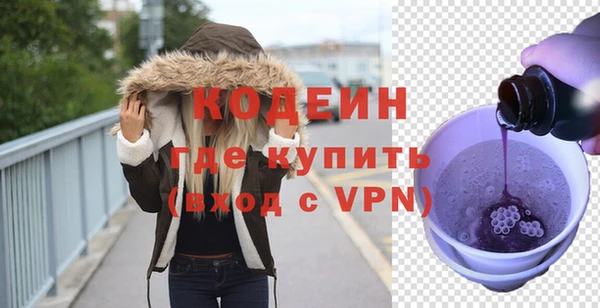 ПСИЛОЦИБИНОВЫЕ ГРИБЫ Гусь-Хрустальный